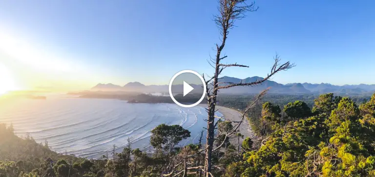 Hiking Cox Bay Lookout Trail in Tofino, BC