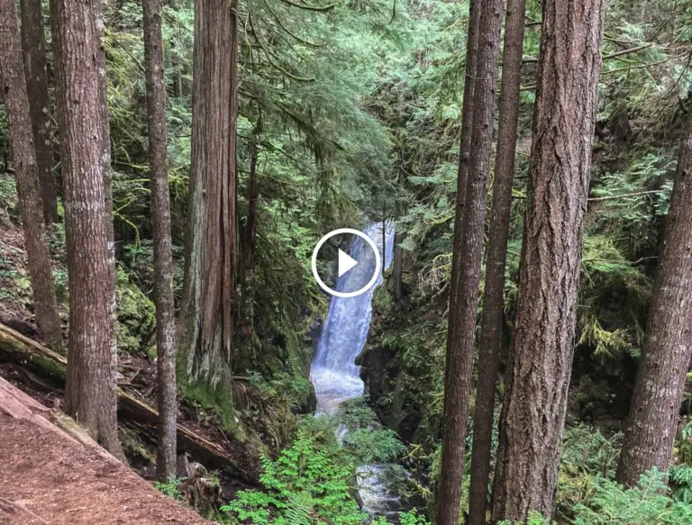 Wanderung zu den Cypress Falls, Vancouver
