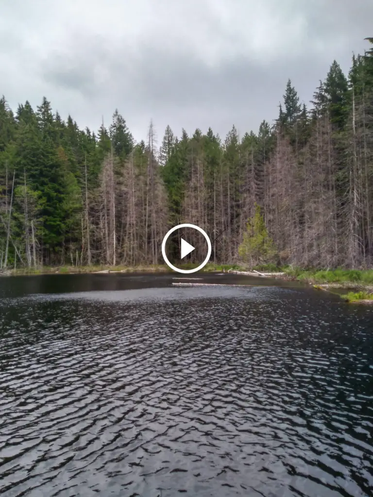 Whyte Lake Path – Vancouver